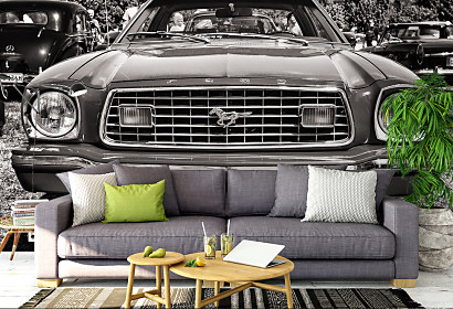 Fototapeta Auto Ford Mustang 1010
